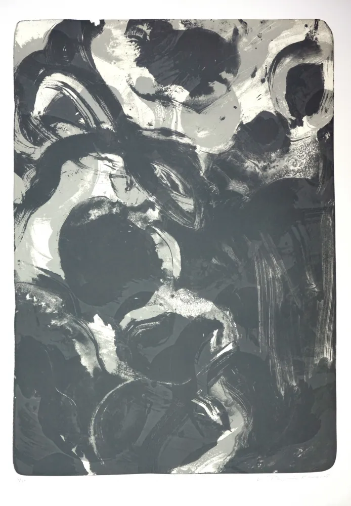 Lithograph Tøjner - Recherche de formes dispersées IV