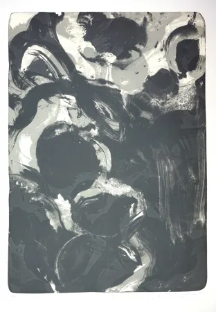 Lithograph Tøjner - Recherche de formes dispersées IV