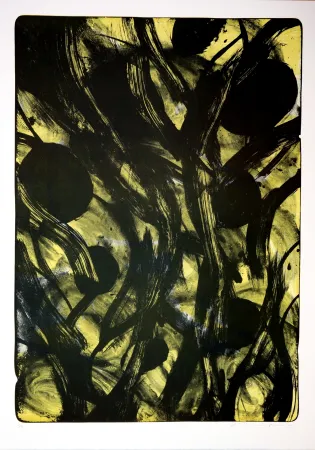 Lithograph Tøjner - Recherche de formes dispersées V