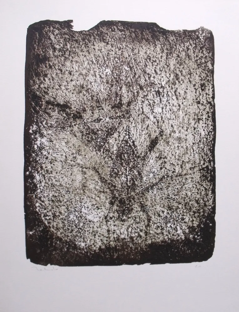 Lithograph Toledo - Plaga