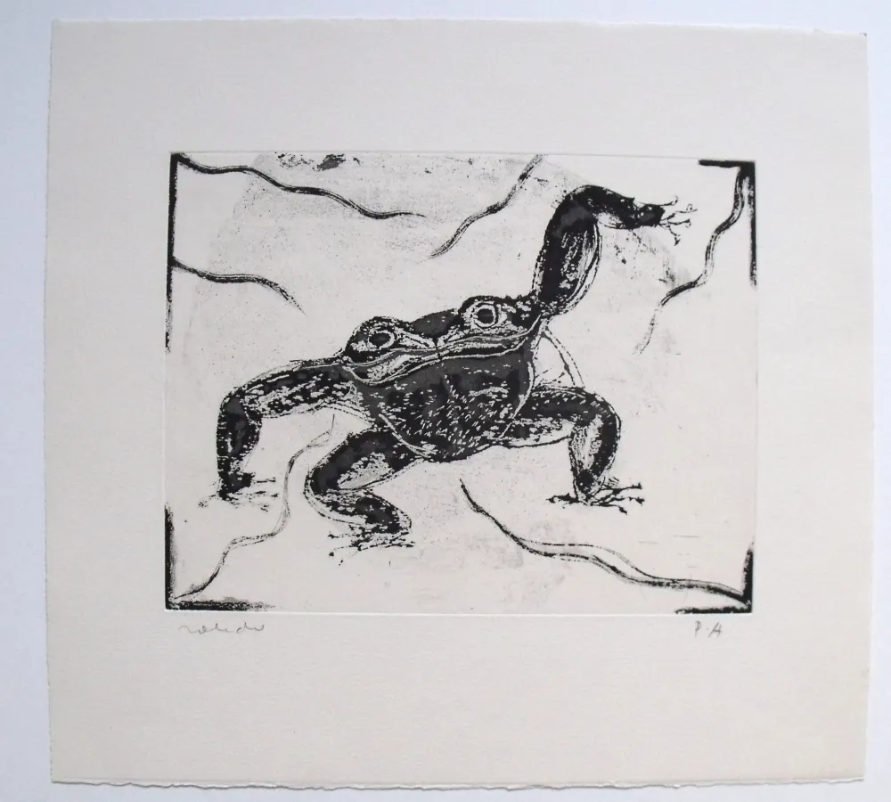 Etching And Aquatint Toledo - Rana