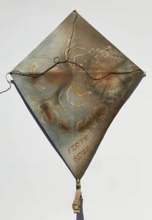 No Technical Toledo - Spiders with Web Kite