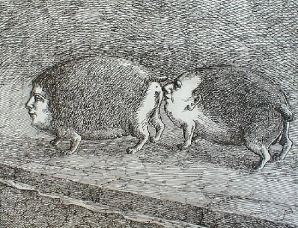 Etching Topor - Senza titolo