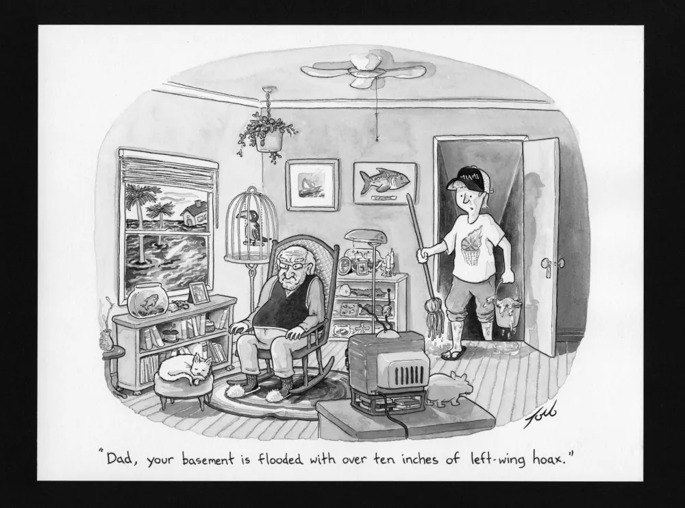 No Technical Toro - Left-Wing Hoax