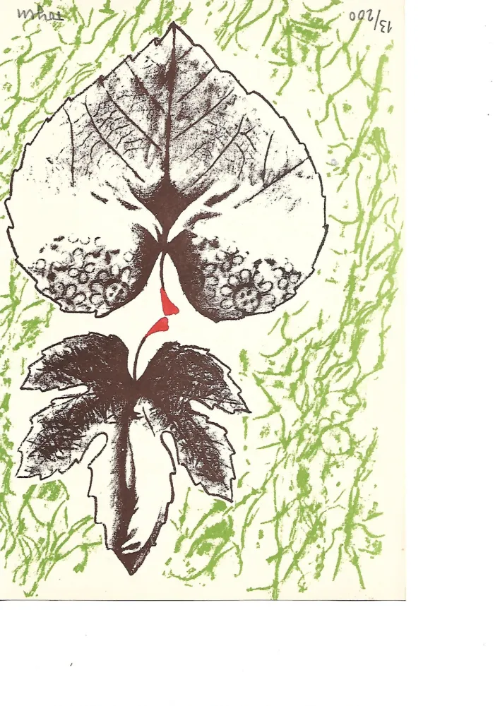 Lithograph Toyen -  Krabicka prvni pomoci - Boîte alerte (1959)