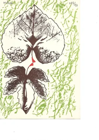 Lithograph Toyen -  Krabicka prvni pomoci - Boîte alerte (1959)