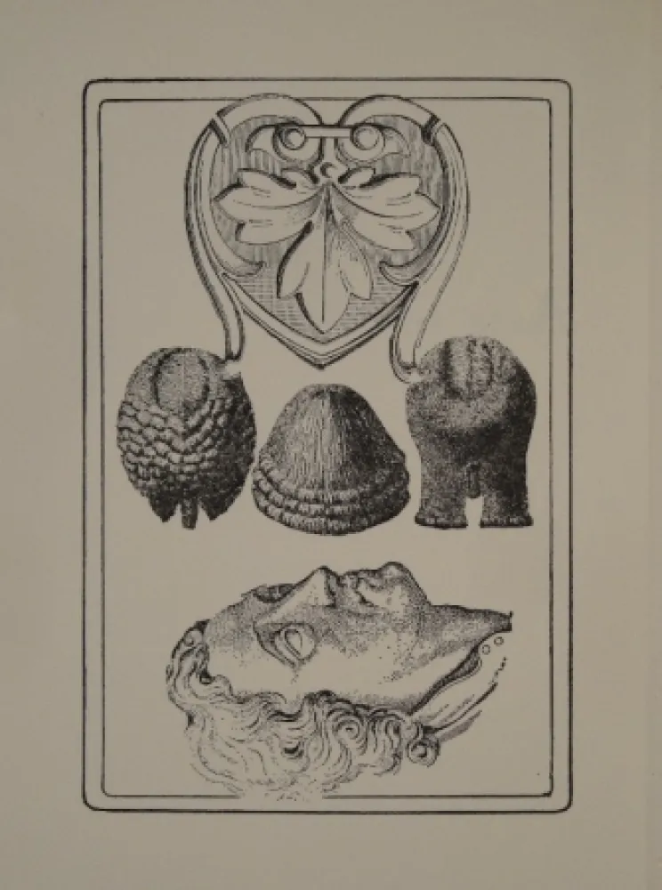 Illustrated Book Toyen - Le Roi Gordogane