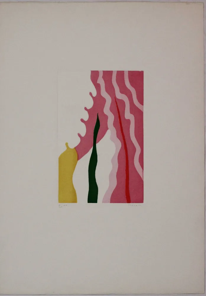 Etching And Aquatint Turcato - L'absente