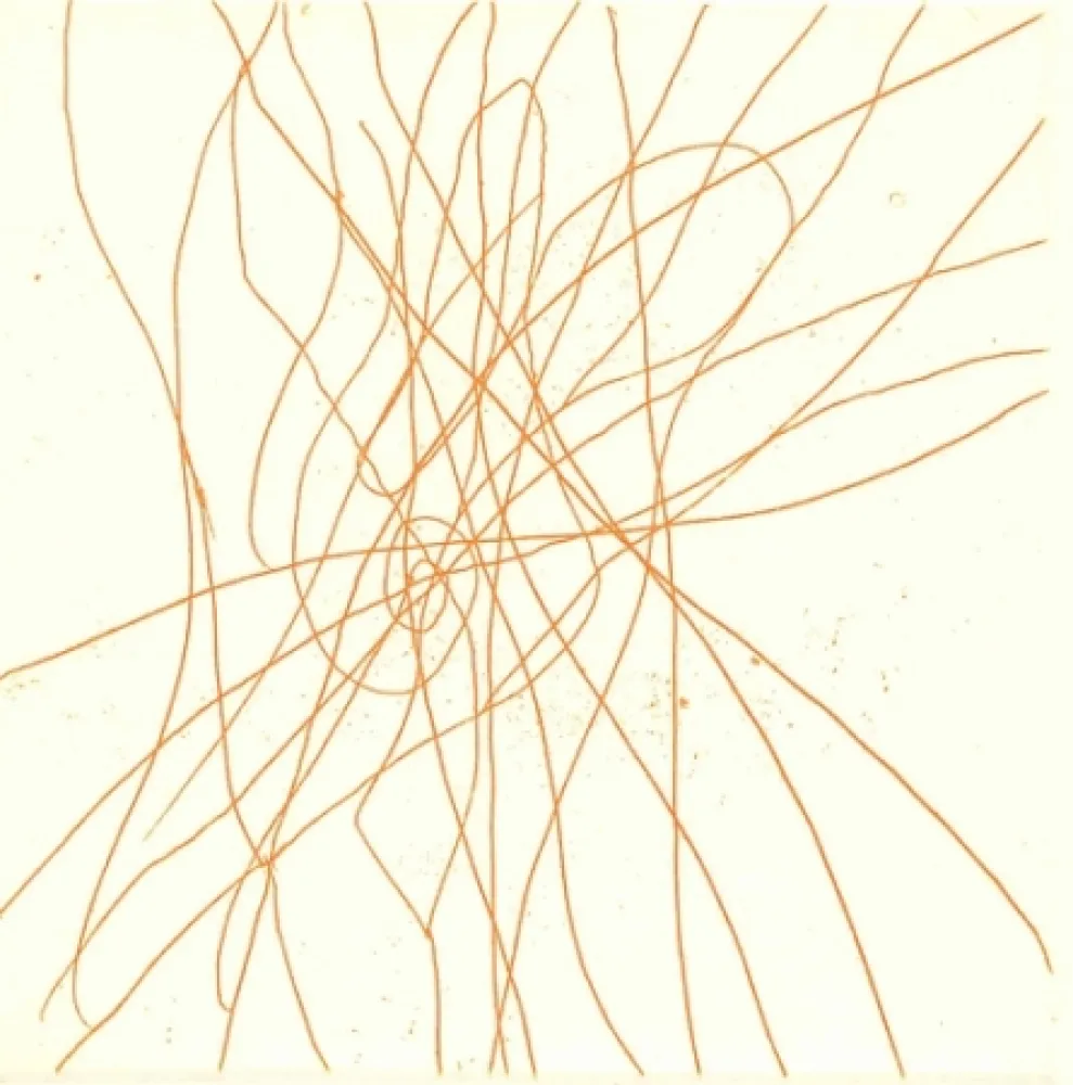 Illustrated Book Turcato - Poesie giovanili