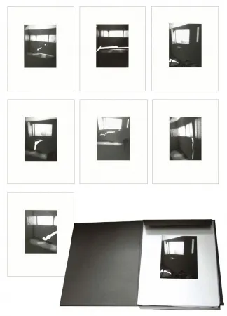 Multiple Tuymans - Fenêtres