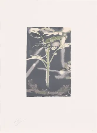 Lithograph Tuymans - Gene