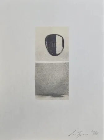 Screenprint Tuymans - Het versluierd beeld