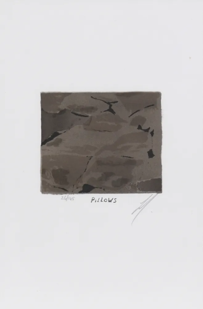 Lithograph Tuymans - Pillows