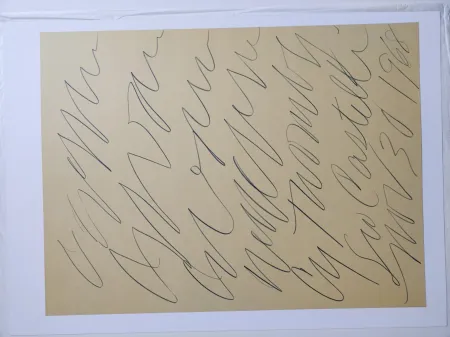 Lithograph Twombly - 