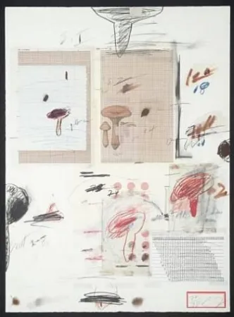 Lithograph Twombly - Natural History Part I: Mushrooms IV
