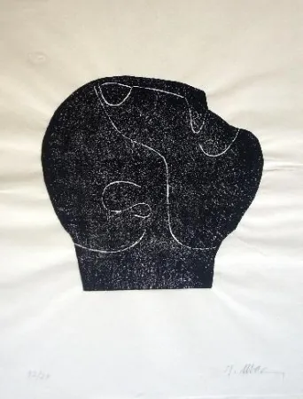 Illustrated Book Ubac - Comme un sol plus obscur