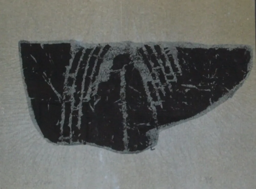 Monotype Ubac - Empreinte d'ardoise