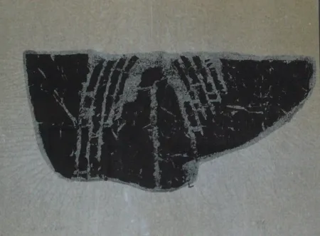 Monotype Ubac - Empreinte d'ardoise