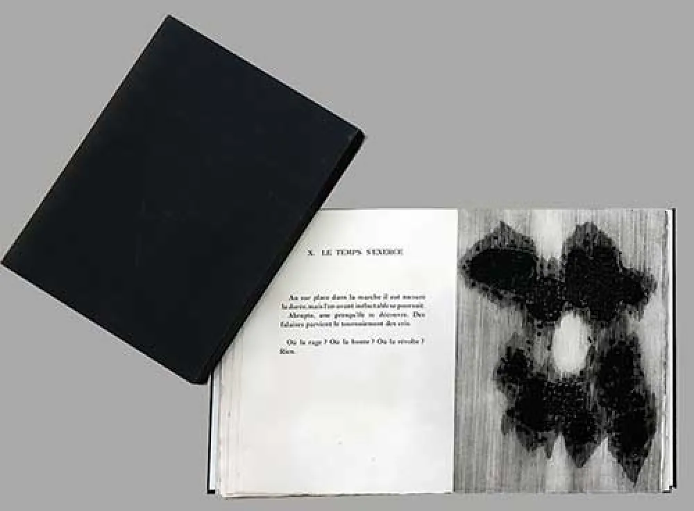 Illustrated Book Ubac - Lisière du devenir