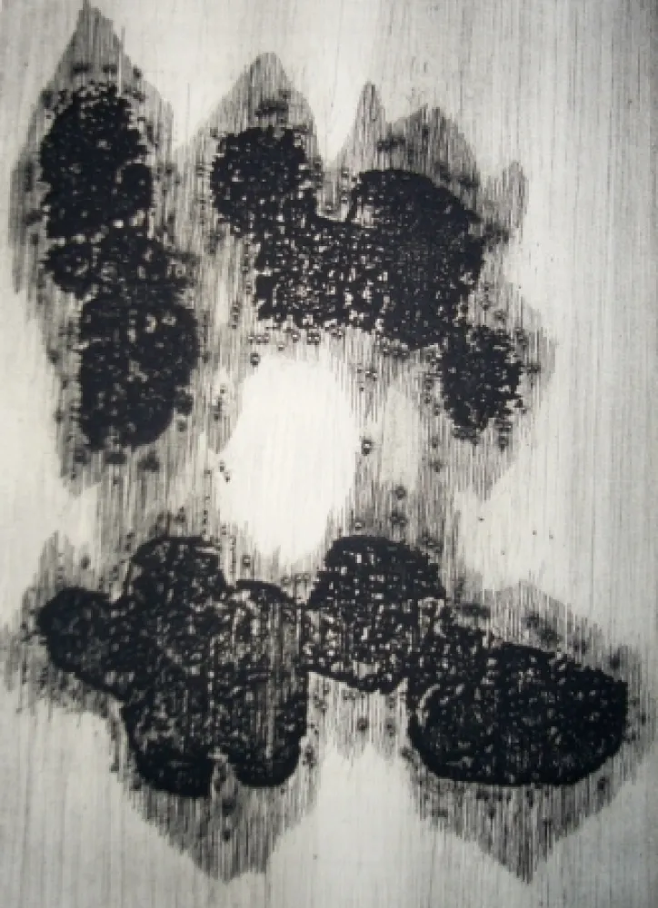 Illustrated Book Ubac - Lisière du devenir