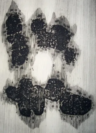 Illustrated Book Ubac - Lisière du devenir