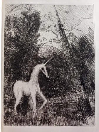 Engraving Unknown - Bestiaire avec 14 eaux-fortes de Pedro Zamorano de Biedma Kerdyk, René (Pedro Zamorano de Biedma) (Léon-Paul Fargue)