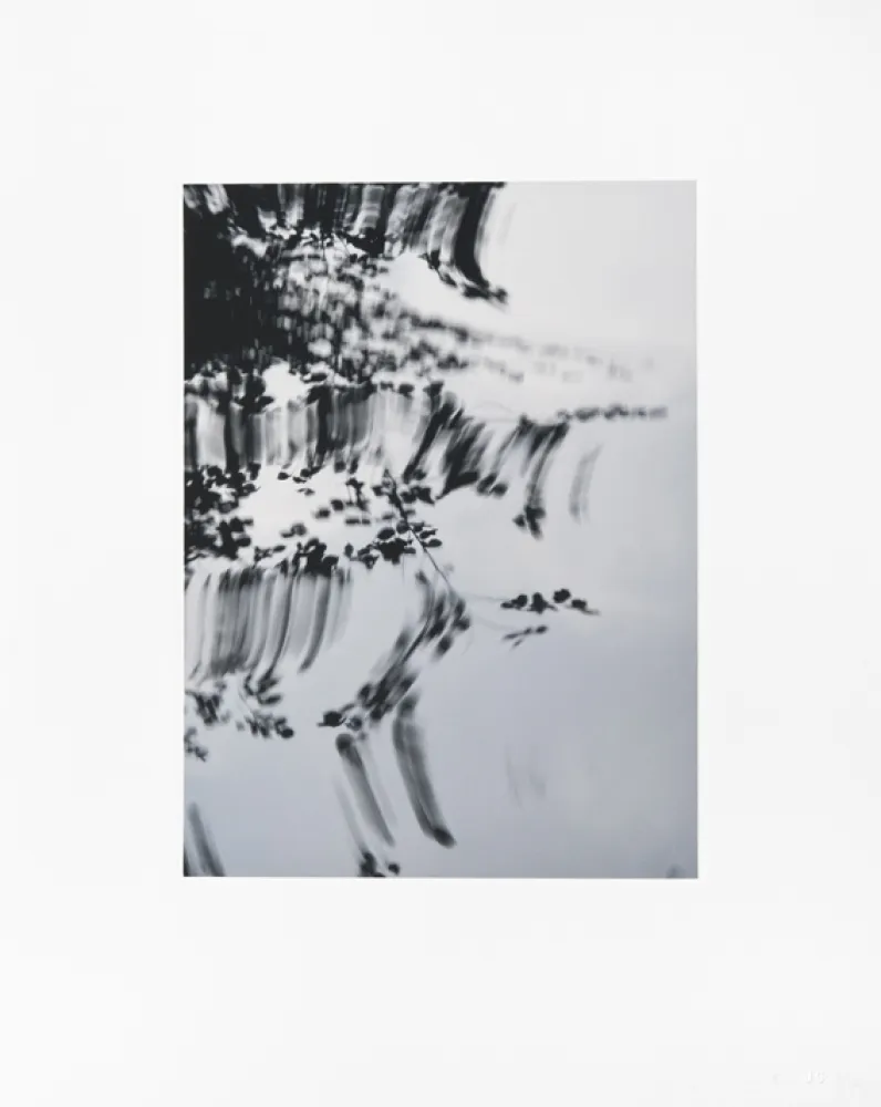 Numeric Print Usle - Pisuena