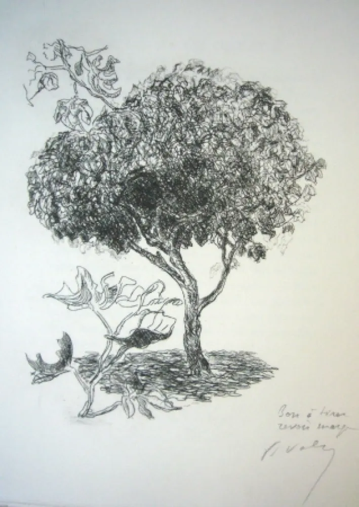 Drypoint Valery - Mélange