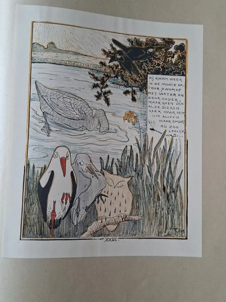 Illustrated Book Van Hoytema - Het leelijke jonge Eendje