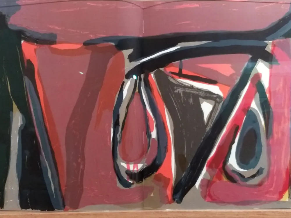 Illustrated Book Van Velde - DLM 250