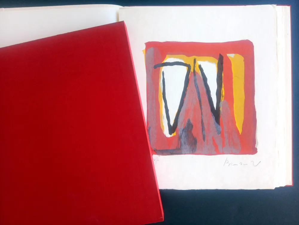 Illustrated Book Van Velde - LA NUIT QUI OSE DIRE SON NOM