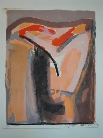 Illustrated Book Van Velde - Le crime d'une nuit