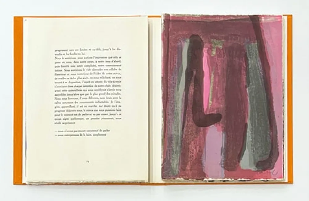 Illustrated Book Van Velde - L'Envers