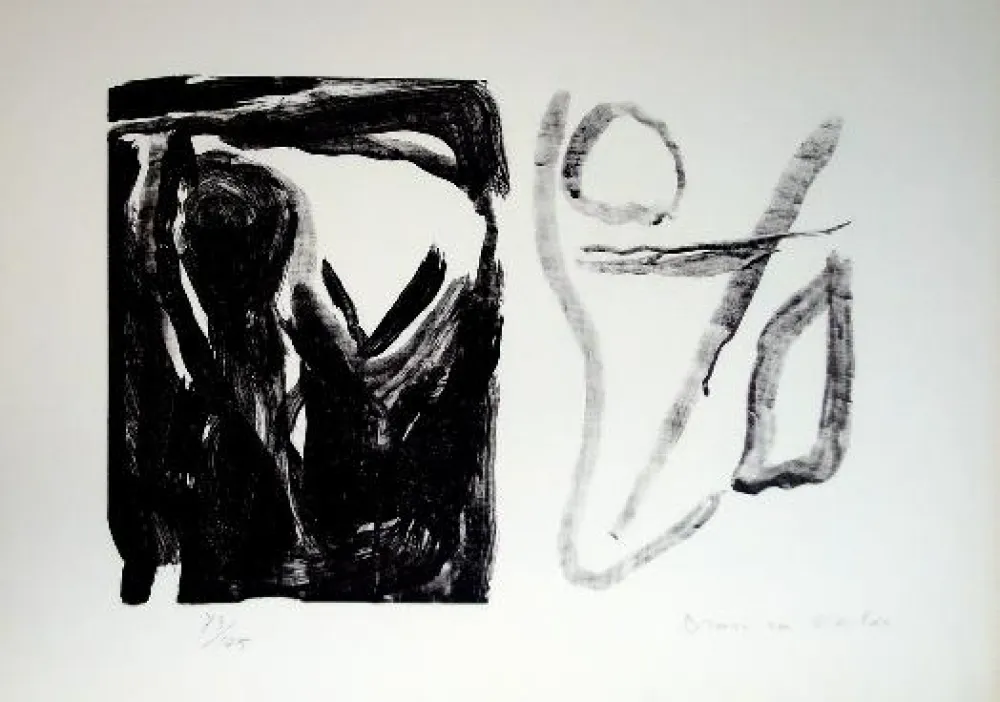 Lithograph Van Velde - MP 16