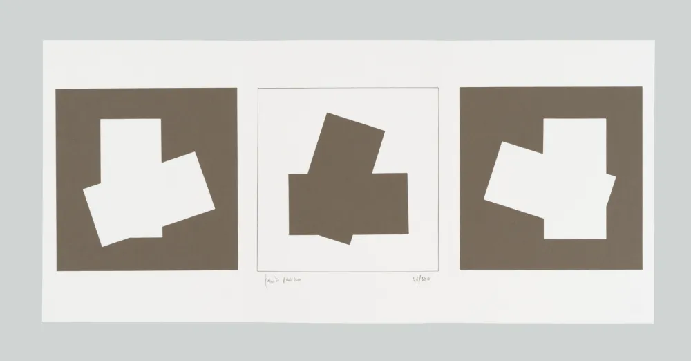 Screenprint Varisco - Composizione