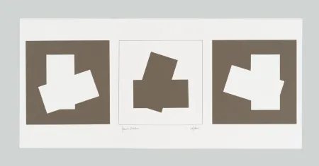 Screenprint Varisco - Composizione