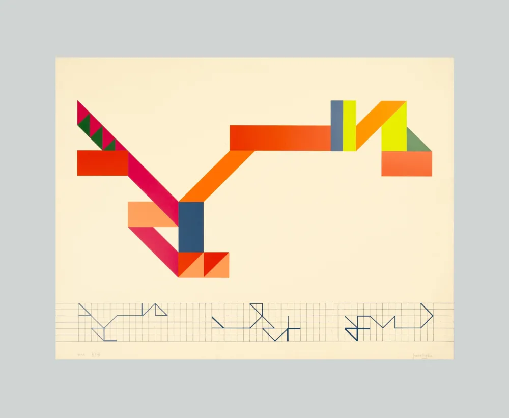 Screenprint Varisco - Random walks (Tav. A)