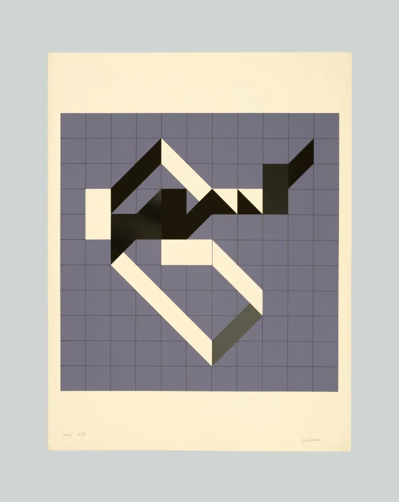 Screenprint Varisco - Random walks (Tav. B)