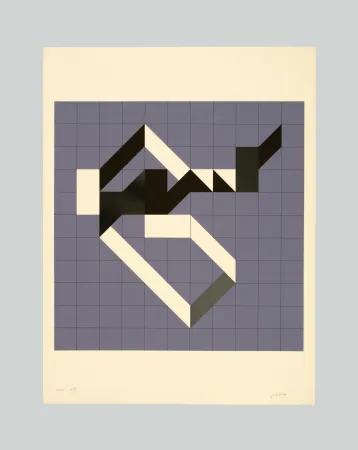 Screenprint Varisco - Random walks (Tav. B)