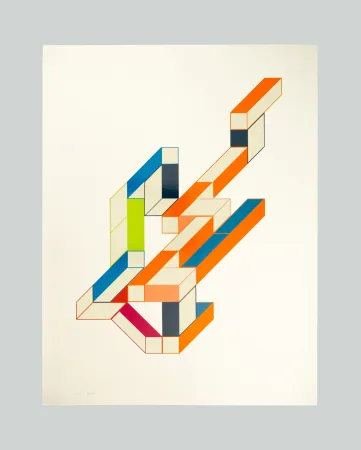 Screenprint Varisco - Random walks (Tav. C)