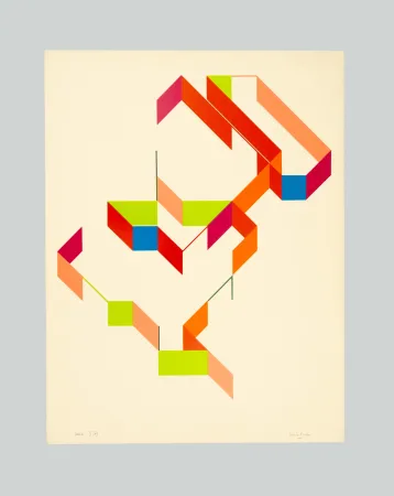 Screenprint Varisco - Random walks (Tav. E)