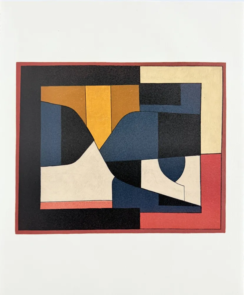 Lithograph Vasarely - Ailho