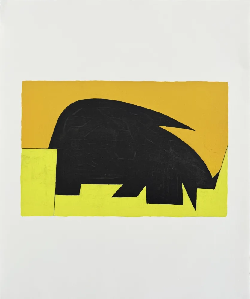 Lithograph Vasarely - Garam