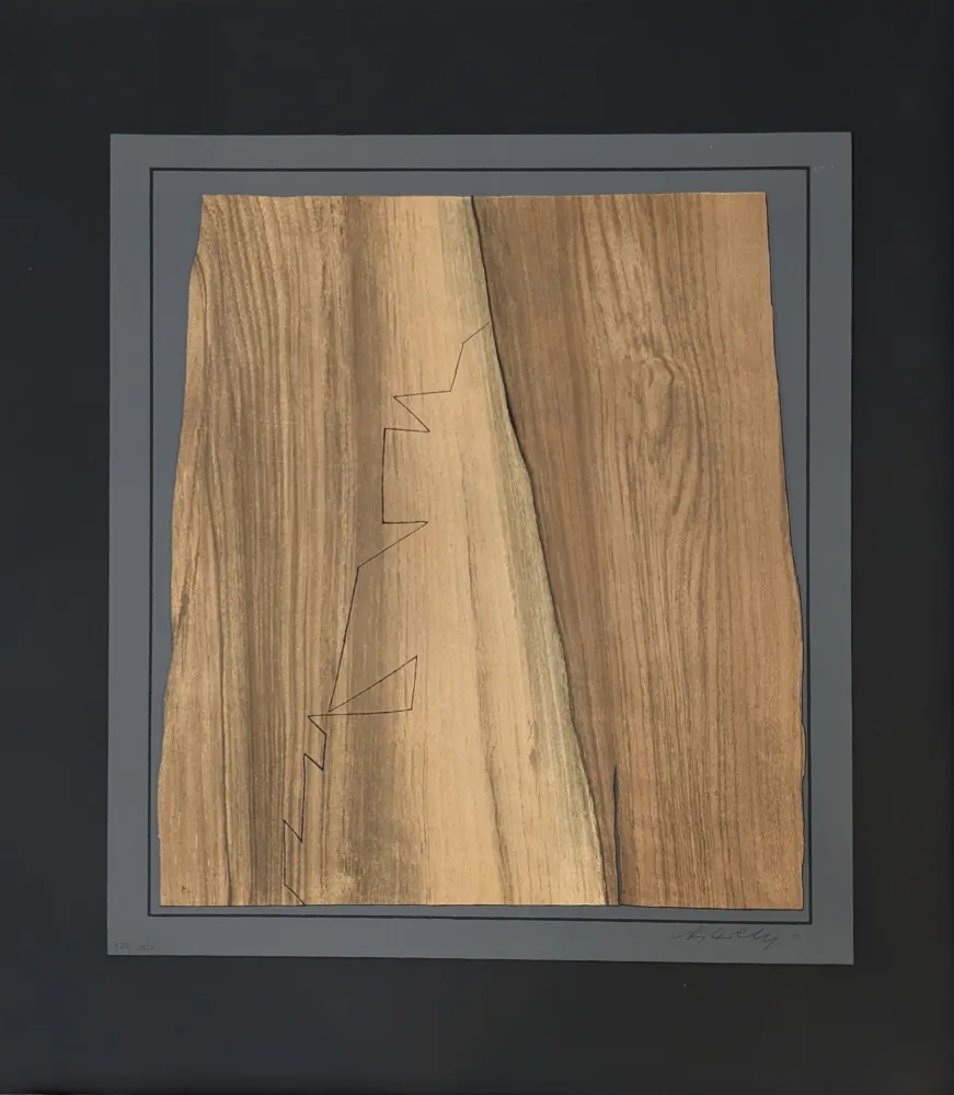 Lithograph Vasarely - Gordes Nives 