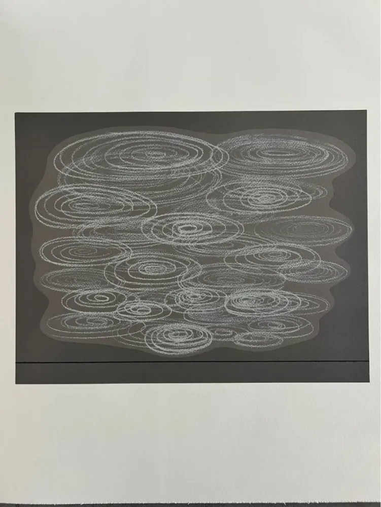 Lithograph Vasarely - Locmaria