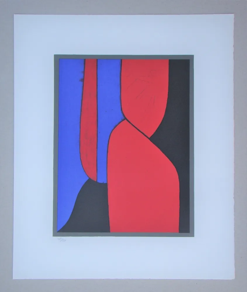 Lithograph Vasarely - Ménerbes