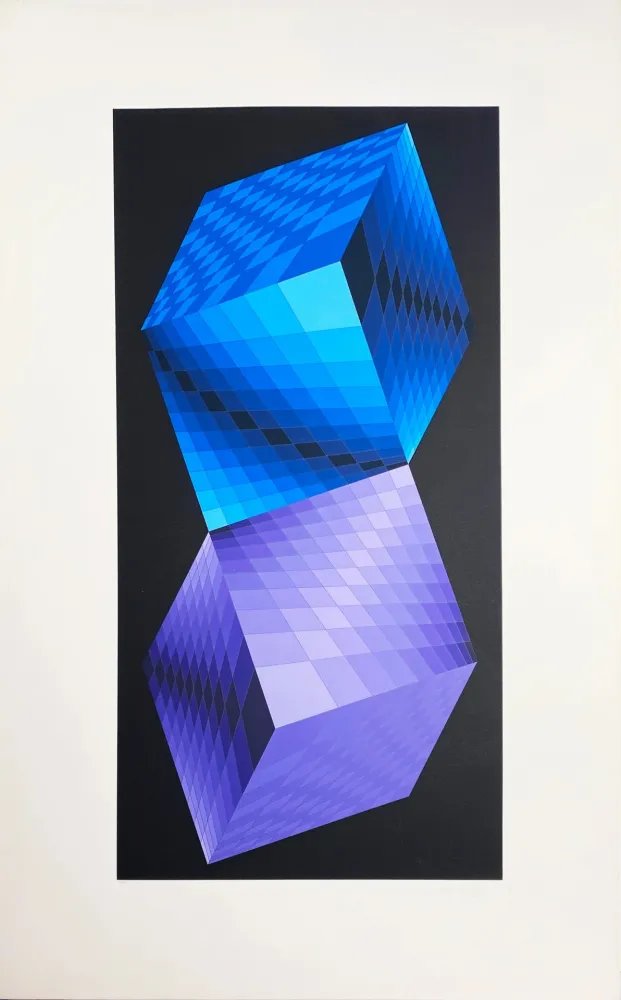 Screenprint Vasarely - Meta