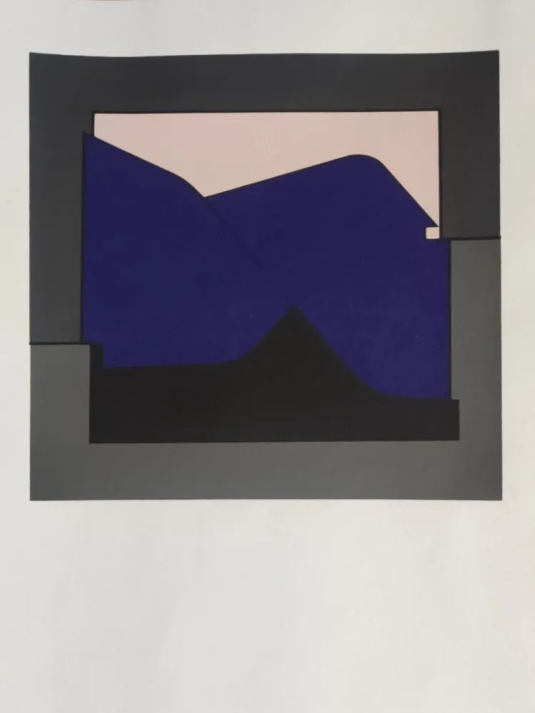 Screenprint Vasarely - Poprad