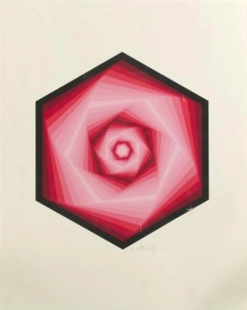 Screenprint Vasarely - Radau