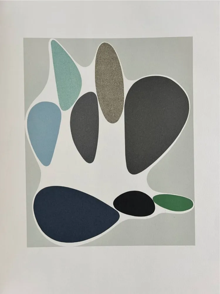 Lithograph Vasarely - Sauzon